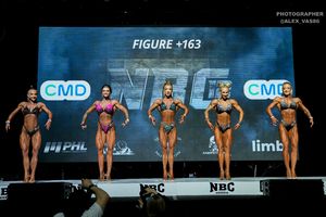 FIGURE +163